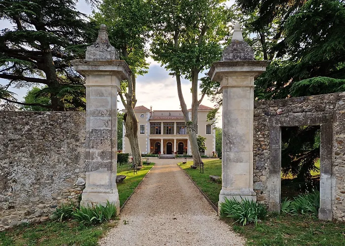 Hôtel accueillant les animaux: Hôtel Villa Walbaum