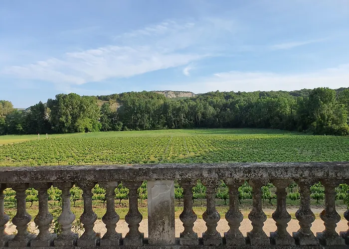 Hôtel accueillant les animaux: Hôtel Villa Walbaum